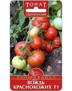 Семена томат Вождь краснокожих F1 38604 Биотех 1 уп Агрофирма партнер