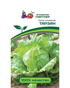 Семена салат Тарзан 37820 Агрофирма партнер