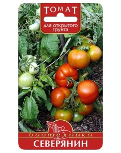 Семена томат Северянин 12604 1 уп Биотехника