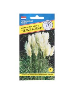 Семена цветов Пампасная трава Белый шлейф 0 1 гр Престиж семена