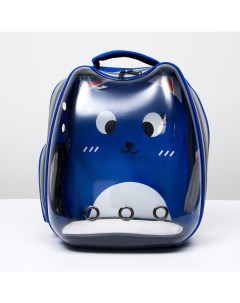 Рюкзак переноска для животных Котик синий прозрачный 34х25х40см Пижон