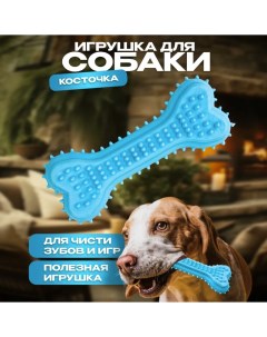 Игрушка для собак жевательная голубая резиновая 14 см Ultramarine