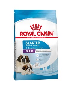 Корм сухой для щенков Giant Starter гигантские породы 4 кг Royal canin