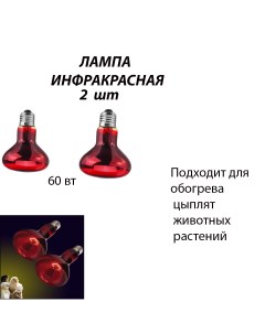 Лампа для террариума инфракрасная 60 Вт Е27 2 шт Nobrand