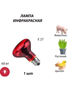 Лампа для террариума инфракрасная 60 Вт Е27 1 шт Nobrand