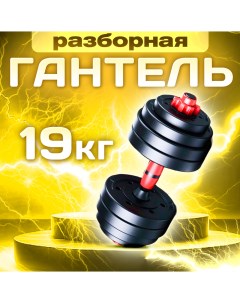 Гантель разборная 19 кг Sportolympic
