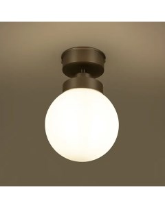 Светильник потолочный Kron FR5339CL 01N влагозащищенный под лампу цвет серебро Без бренда