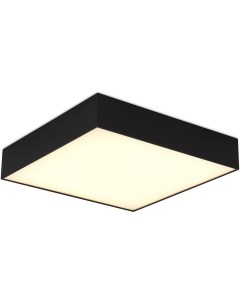 Потолочный светильник светодиодный Черный LED 1 48W St-luce