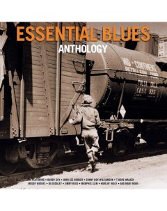 Сборник Essential Blues Anthology 2LP Not now music