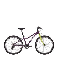 Детский велосипед 824 2024 violet green Beagle