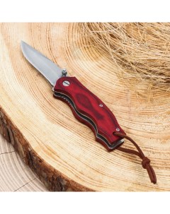 Нож перочинный складной Акажу 13 5см клинок 57мм 2 5мм рукоять дерево Nobrand
