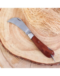 Нож складной Грибник 19см клинок 80мм 2 5мм рукоять дерево Nobrand