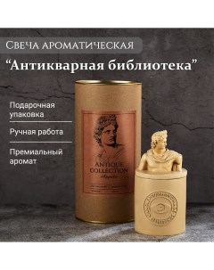 Ароматическая свеча Аполлон антикварная библиотека соевый воск 180 мл Tako home