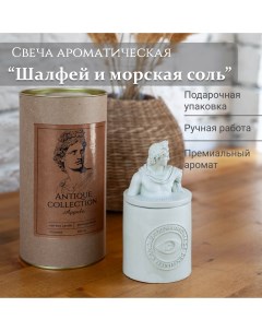Ароматическая свеча Апполон шалфей и морская соль соевый воск 180 мл Tako home
