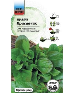 Семена зелени АгроСидТрейд Щавель Красавчик 37932 1 уп Агросидстрейд