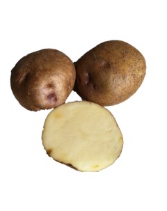 Клубни картофель Синеглазка 10856 1 уп Русский огород
