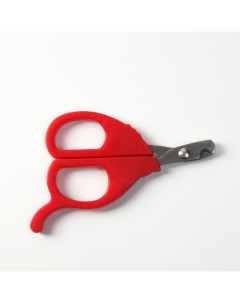 Когтерез ножницы малый с упором для пальца красный 10 5х6 5 см Пижон