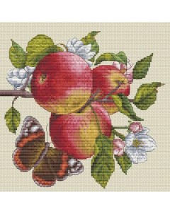 Набор для вышивания Яблоки на ветке Белоснежка