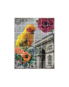 Пазлы стикеры Волнистый попугайчик Color kit