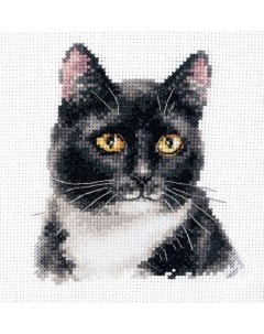 Набор для вышивания Черный кот Alisa