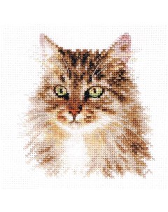 Набор для вышивания Сибирская кошка Alisa