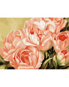 Картина по номерам 40х50 на подрамнике Розовые цветы Вангогвомне
