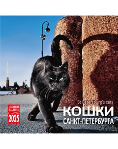 Календарь на скрепке КР10 на 2025 год Кошки Петербурга КР10 25088 Тд медный всадник
