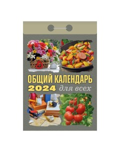 Календарь настенный отрывной Общий календарь для всех на 2024 год Атберг 98