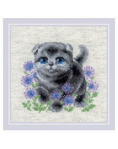 Набор для вышивания Вислоухий котёнок 2120 15x15 см Риолис
