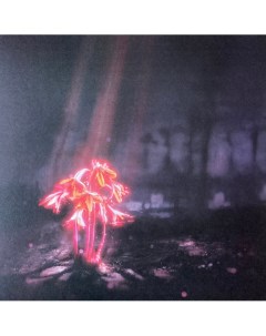 Пластинка Enter Shikari A Kiss For The Whole World Dark Orange Limited LP Sony music