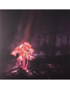 Пластинка Enter Shikari A Kiss For The Whole World Shrimp Pink Limited LP Sony music