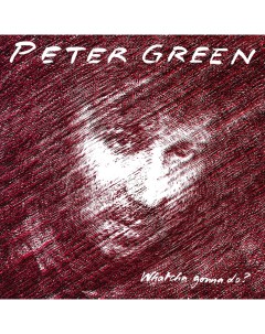 Peter Green Whatcha Gonna Do Silver LP Music on vinyl