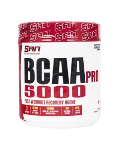 BCAA Pro 5000 2 1 1 690 г вкус фруктовый пунш San