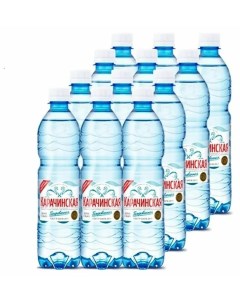 Вода питьевая газированная 0 5 л х 24 шт Карачинская
