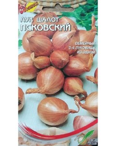 Семена лук шалот Псковский 30372 1 уп Русский огород