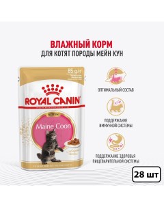 Влажный корм для котят для породы Мэйн Кун кусочки в соусе 28 шт по 85 гр Royal canin