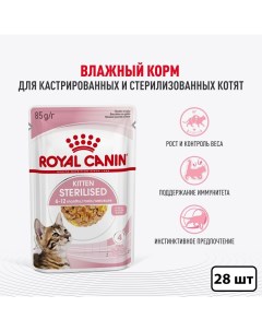 Влажный корм для стерилизованных котят кусочки в желе 28 шт по 85 гр Royal canin