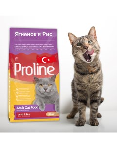 Сухой корм для кошек ягненок и рис 1 2 кг Proline