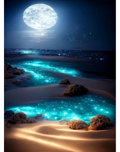 Алмазная мозаика Лунная ночь на подрамнике 40x50 HWA5976 Boomboomshop