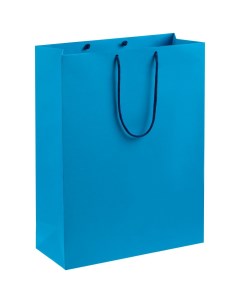 Пакет подарочный бумажный Porta XL голубой 30х40х12 см Nobrand
