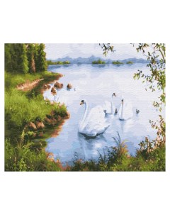 Картина по номерам Белые лебеди 40х50 без подрамника Вангогвомне