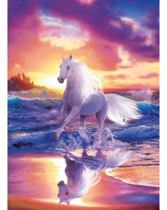 Алмазная мозаика Белый конь на закате на подрамнике 50x65 TCHB8112 Boomboomshop