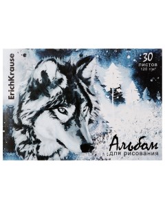 Альбом для рисования А4 30 листов на клею Timber Wolf обложка мелованный к Erich krause