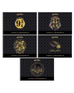 Альбом для рисования А4 30 листов на гребне Гарри Поттер обложка мелованный к Hatber