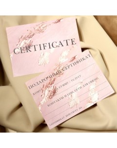 Набор подарочных сертификатов POTAL 10 шт с крафтовыми пакетами и наклейками цвет роз Nobrand