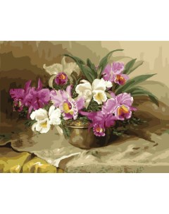 Картина по номерам 40х50 на подрамнике Цветок в горшке Вангогвомне