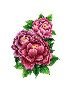 Набор для вышивания Розовые пионы Каролинка