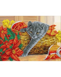 Набор для вышивания Рождественский котик Паутинка