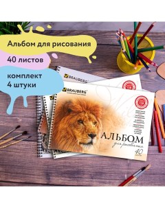 Альбомы для рисования А4 40 л КОМПЛЕКТ 4 шт гребень обложка картон Brauberg