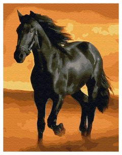 Картина по номерам Вороной конь 40х50 на подрамнике Вангогвомне